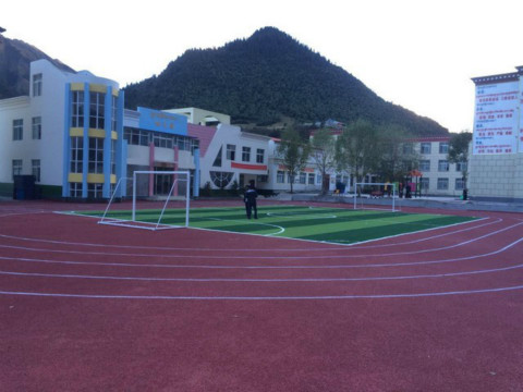 青山湖區(qū)塑膠跑道廠家